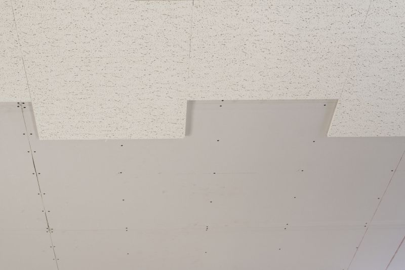 Acoustic Ceiling Replacement in Boulder, CO