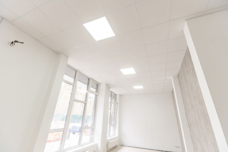 Acoustic Ceiling Replacement in Boulder, CO