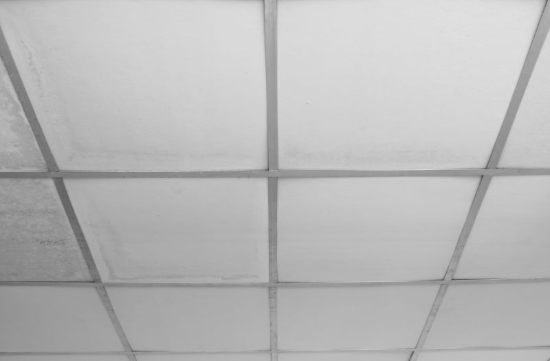 Ceiling Panel Repair in Boulder, CO