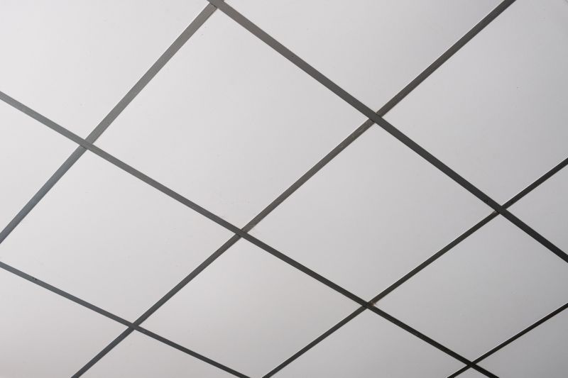 Ceiling Tiles Installation in Boulder, CO
