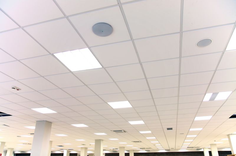 Ceiling Tiles Repair in Boulder, CO