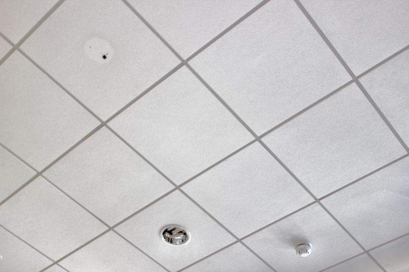Grid Ceiling Installation in Arvada, CO