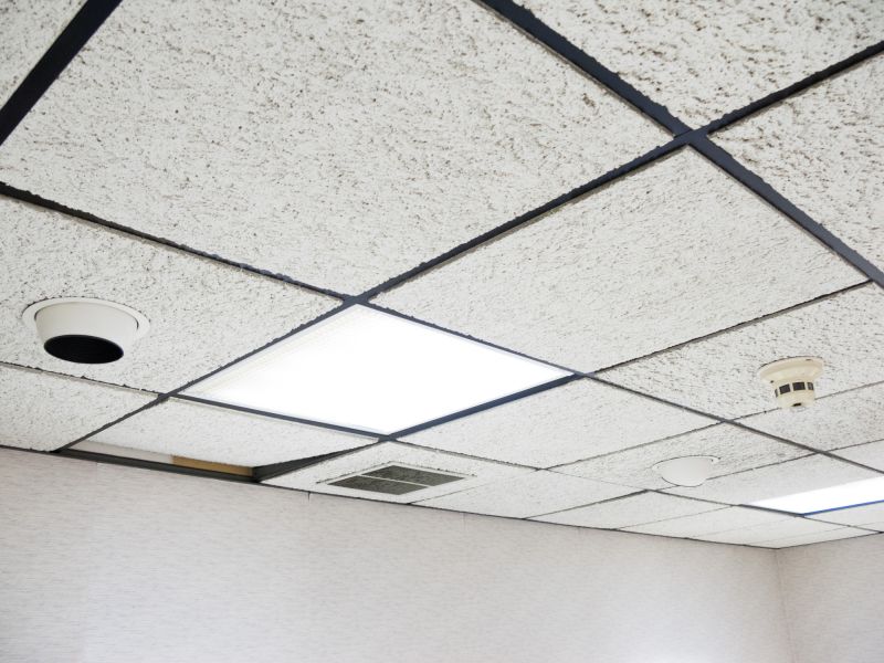 Grid Ceiling Repair in Boulder, CO